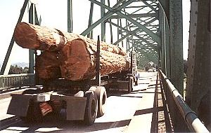 Logging truck on
                101