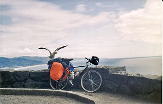 Overlook - Nehalem Bay, Oregon